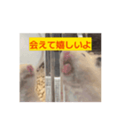 愛くるしい挨拶（個別スタンプ：3）