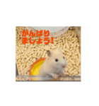 愛くるしい挨拶（個別スタンプ：4）