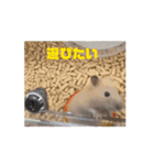 愛くるしい挨拶（個別スタンプ：5）