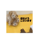 愛くるしい挨拶（個別スタンプ：8）