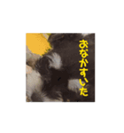 amazing！おちび達（個別スタンプ：2）