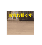 amazing！おちび達（個別スタンプ：4）