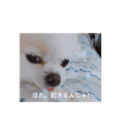 amazing！おちび達（個別スタンプ：7）