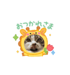 ウチの猫、空＆詩のスタンプです！（個別スタンプ：7）
