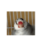 リョウガの友達（個別スタンプ：6）