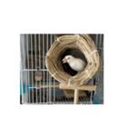 リョウガの友達（個別スタンプ：7）