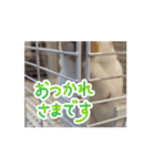 お気持ちを伝えたい（個別スタンプ：1）