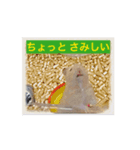 お気持ちを伝えたい（個別スタンプ：2）
