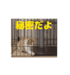 お気持ちを伝えたい（個別スタンプ：6）