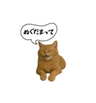動く！方言猫（津軽弁Ver2）（個別スタンプ：15）
