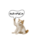 動く！方言猫（津軽弁ver1）（個別スタンプ：22）