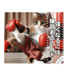 ねこキックボクシング（個別スタンプ：5）
