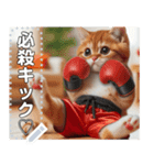 ねこキックボクシング（個別スタンプ：7）