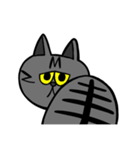 むごんのばきくん（個別スタンプ：13）