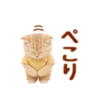 ▶元気に動く癒しにゃんこの敬語スタンプ（個別スタンプ：1）