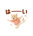 ▶元気に動く癒しにゃんこの敬語スタンプ（個別スタンプ：4）
