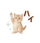 ▶元気に動く癒しにゃんこの敬語スタンプ（個別スタンプ：13）