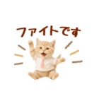 ▶元気に動く癒しにゃんこの敬語スタンプ（個別スタンプ：21）