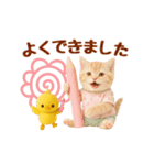 ▶元気に動く癒しにゃんこの敬語スタンプ（個別スタンプ：22）