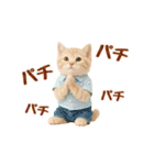 ▶元気に動く癒しにゃんこの敬語スタンプ（個別スタンプ：23）