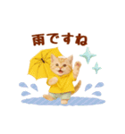 ▶元気に動く癒しにゃんこの敬語スタンプ（個別スタンプ：24）