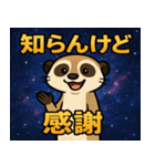 ミーアキャットと宇宙の旅@SFW（個別スタンプ：3）