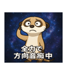 ミーアキャットと宇宙の旅@SFW（個別スタンプ：11）