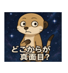ミーアキャットと宇宙の旅@SFW（個別スタンプ：13）
