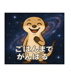 ミーアキャットと宇宙の旅@SFW（個別スタンプ：15）