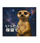 ミーアキャットと宇宙の旅@SFW（個別スタンプ：22）