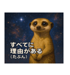 ミーアキャットと宇宙の旅@SFW（個別スタンプ：23）