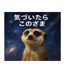 ミーアキャットと宇宙の旅@SFW（個別スタンプ：24）