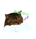 コネコネコシリーズ1（個別スタンプ：10）