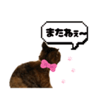 コネコネコシリーズ1（個別スタンプ：16）