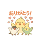 がんばるオカメ♡カフェときどき私生活（個別スタンプ：12）