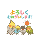 がんばるオカメ♡カフェときどき私生活（個別スタンプ：17）