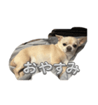 〜こは〜スタンプ（個別スタンプ：4）