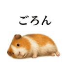仕事終わりの一言〜リアルすぎるモルモット（個別スタンプ：14）