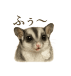 仕事終わりの一言〜フクロモモンガ（個別スタンプ：13）
