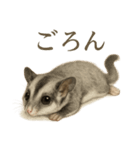 仕事終わりの一言〜フクロモモンガ（個別スタンプ：16）