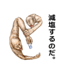 毎日☆ハイパー健康スタンプ！！（個別スタンプ：16）