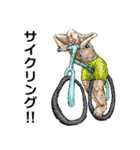 毎日☆ハイパー健康スタンプ！！（個別スタンプ：31）