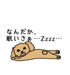 SAAYA's sticker（個別スタンプ：15）