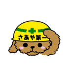 SAAYA's sticker（個別スタンプ：21）