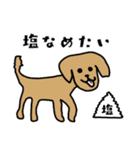 SAAYA's sticker（個別スタンプ：23）