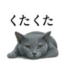 仕事終わりの一言〜ロシアンブルー猫（個別スタンプ：13）