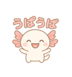 可愛いウーパールーパーずっと使える日常（個別スタンプ：5）
