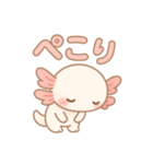 可愛いウーパールーパーずっと使える日常（個別スタンプ：23）