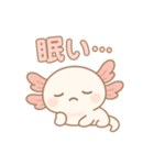 可愛いウーパールーパーずっと使える日常（個別スタンプ：27）