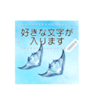 海と水族館の仲間たち メッセージスタンプ（個別スタンプ：4）